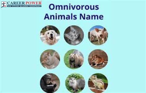 Omnivore Animals- Names, List and Examples