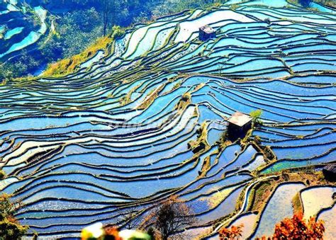 Yuanyang, China is a rice fields | Abstract, Abstract artwork, Art pictures