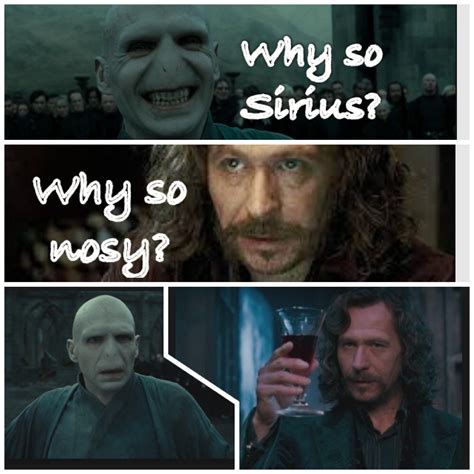 Why so Sirius? - Harry Potter Photo (37211522) - Fanpop