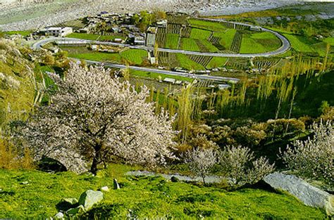 Hunza - The Truth, Myths, and Lies About the Health and Diet of the "Long-Lived" People of Hunza ...