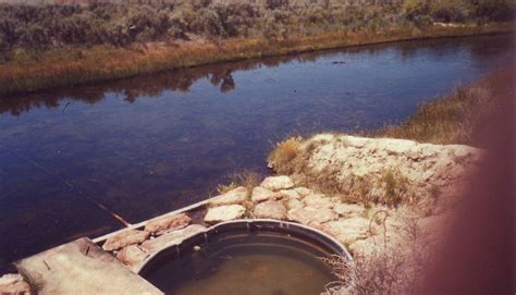 Bog Hot Springs | HotWaterSlaughter - Hot Springs