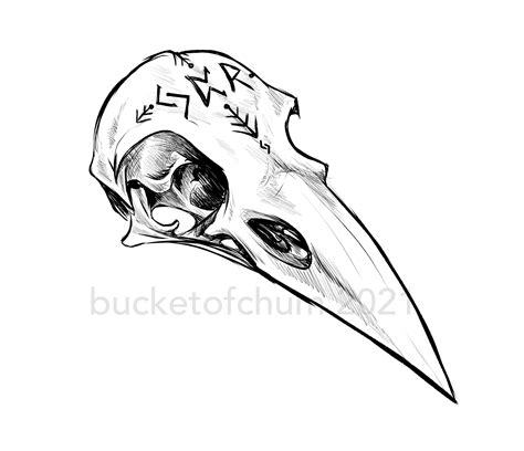 Raven Skull Drawing