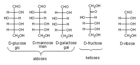 Fructose Structure Linear