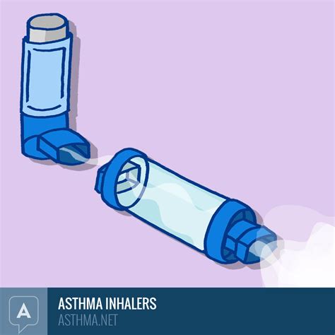 Chien pas cher Négocier types of asthma inhalers Gros Serment faire pire