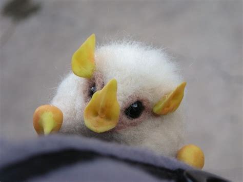 Honduran White Bat Facts, Habitat, Diet, Adaptations, Video