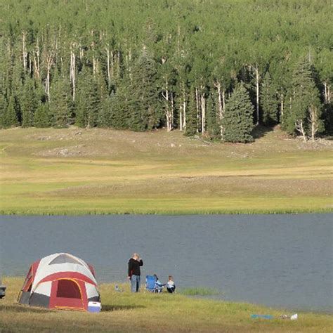 Fishlake National Forest - Home