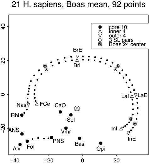 Boas mean configuration (Procrustes shape coordinates, rescaled to... | Download Scientific Diagram