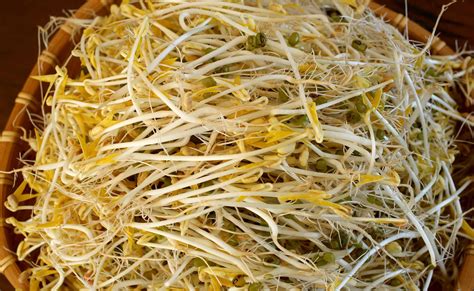 Mung bean sprouts recipe - Maangchi.com