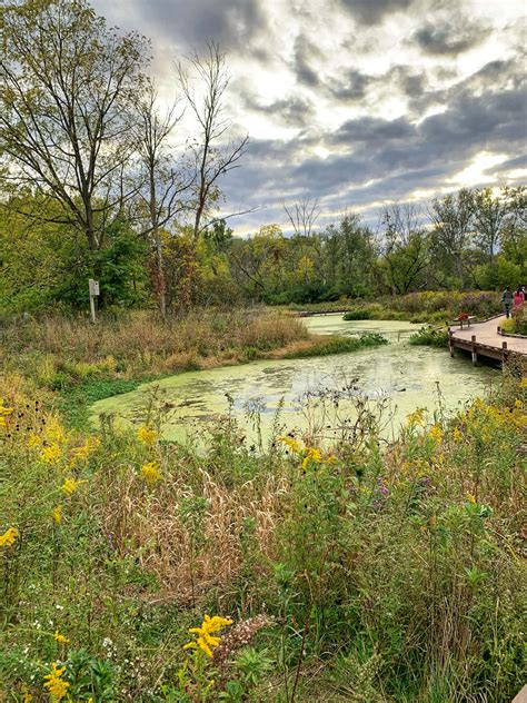 Exploring Red Oak Nature Center: Cave, easy hikes, nature-based playground - O the Places We Go