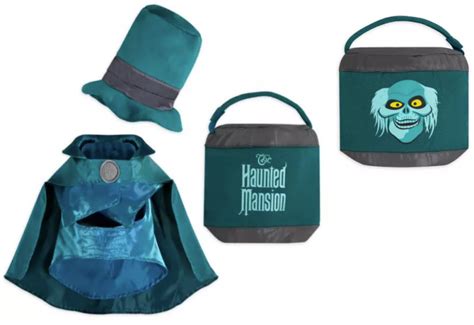 Haunted Mansion Hatbox Ghost Halloween Costume Is Too Cute!