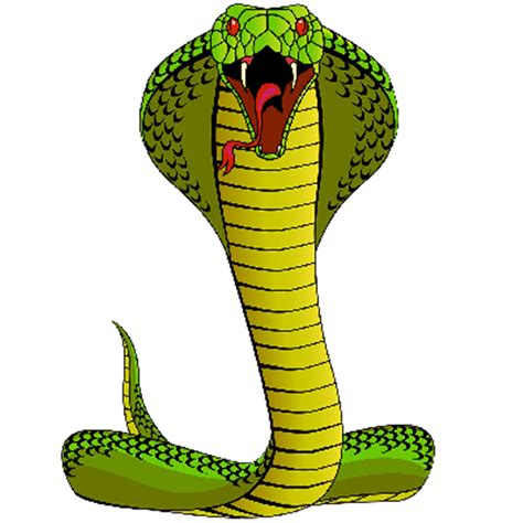 Cobra clipart poisonous snake, Cobra poisonous snake Transparent FREE for download on ...