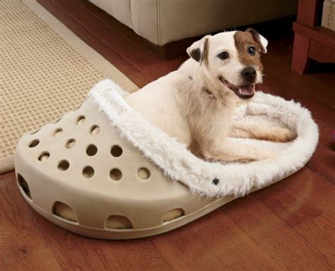 This Gigantic Croc Shoe Is The Perfect Pet Bed & Here's Why