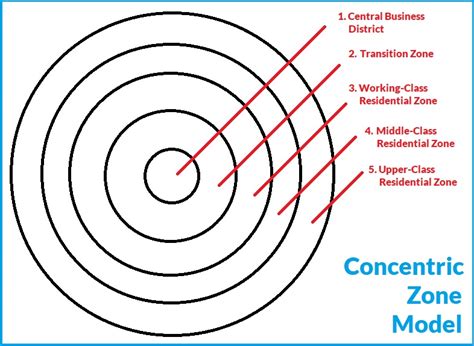 Multiple Nuclei Model - Definition, Examples, Pros & Cons (2024)