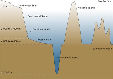 Learning Geology: The Sea Floor