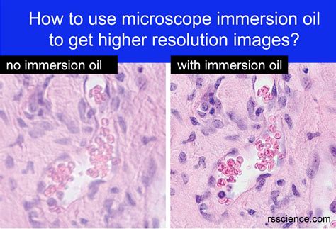 How to Use Microscope Immersion Oil to Get Higher Resolution Images ...