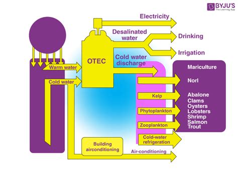 Thermal Energy