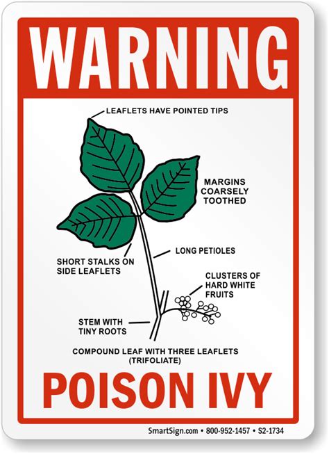 Poison Ivy Warning Signs | Poison Oak Warning Signs