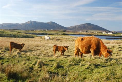 Lochmaddy and the Hut of the Shadows (Walkhighlands)