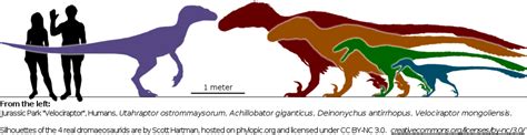 Deinonychus or Utahraptor : r/JurassicPark