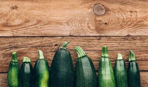 Canning Zucchini Bread & Butter Pickles | Family Food Garden