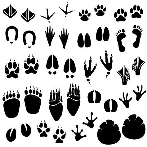 Tier-Fußabdruck, Tierspuren, Tierpfoten, Tier SVG, Tier EPS, Wildlife PNG, wilde Tiere ...