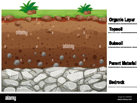 Soil layers drawing hi-res stock photography and images - Alamy