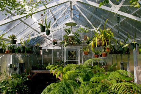 BC Greenhouse Builders Talk About How to Start Planning for a Greenhouse