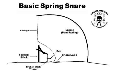 Geared² Survive: Basic Spring Snare