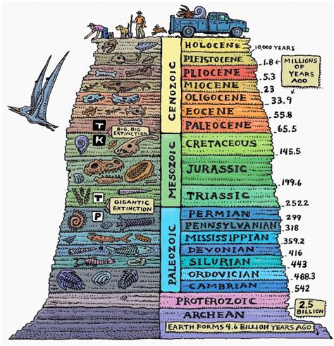 Cenozoic Era Human