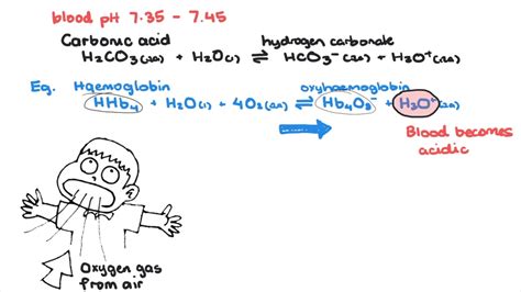 Biological Buffers in Nature - YouTube