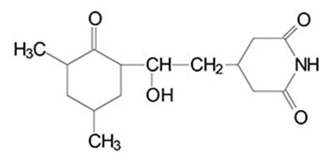 Protein Synthesis (Translation): Processes and Regulation - The Medical Biochemistry Page