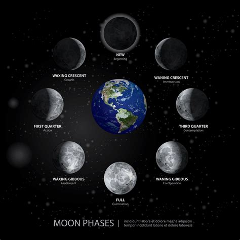 Movements of the Moon Phases Realistic Vector Illustration 643055 Vector Art at Vecteezy