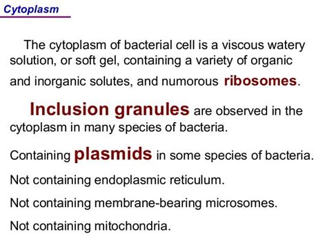 😊 Chemical composition of cytoplasm. The Composition and Organization of Cytoplasm in Prebiotic ...