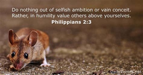 Bible Verses About Selfishness - CHURCHGISTS.COM