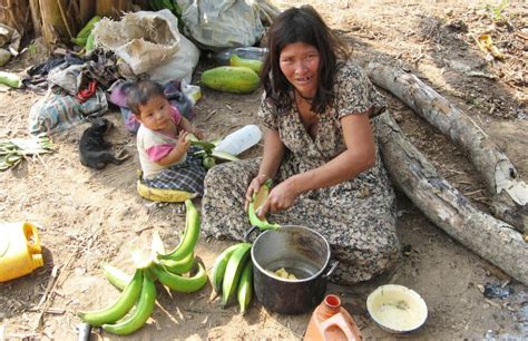 Lifestyle of Indigenous Amazonian Tribes May Hold Secret to Peak Brain ...