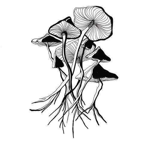 Mushroom Drawing at PaintingValley.com | Explore collection of Mushroom ...