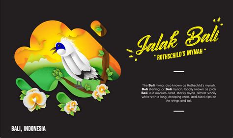 Indonesia "Bird Of Paradise" (part 1) on Behance