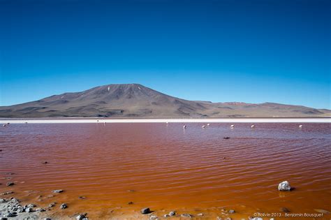 Laguna Colorada - Lake in Bolivia - Thousand Wonders