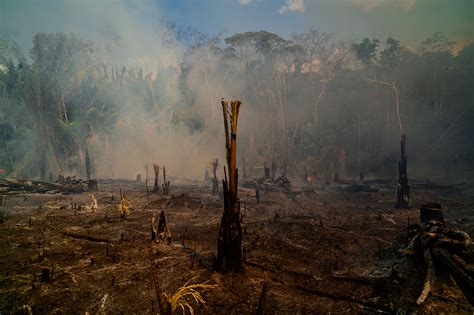 See Photos of the Amazon Rainforest Fires in Brazil | Time