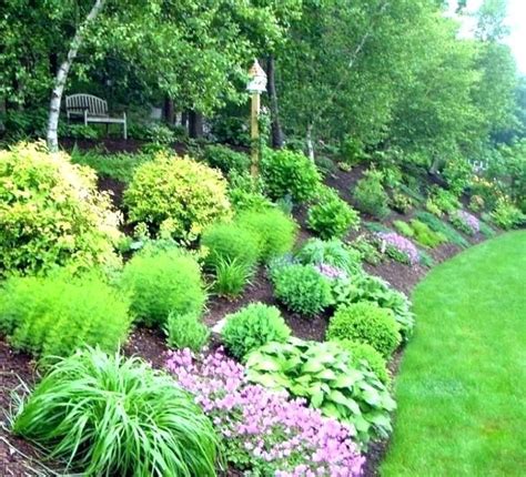 landscape on hill berm ideas - Google Search | Sloped backyard ...