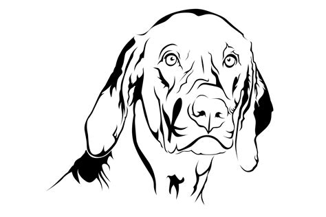 pet dog line art vector image 17674000 Vector Art at Vecteezy