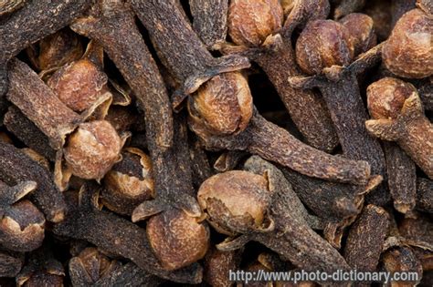 cloves - photo/picture definition at Photo Dictionary - cloves word and ...