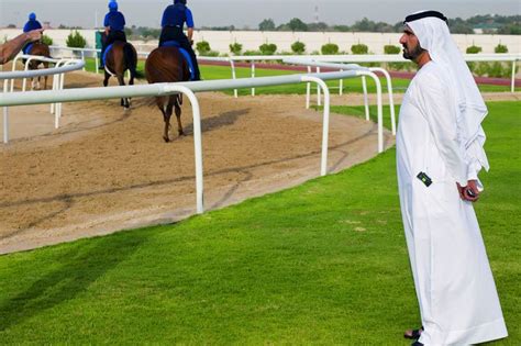 How to visit the sheikh stables in Dubai