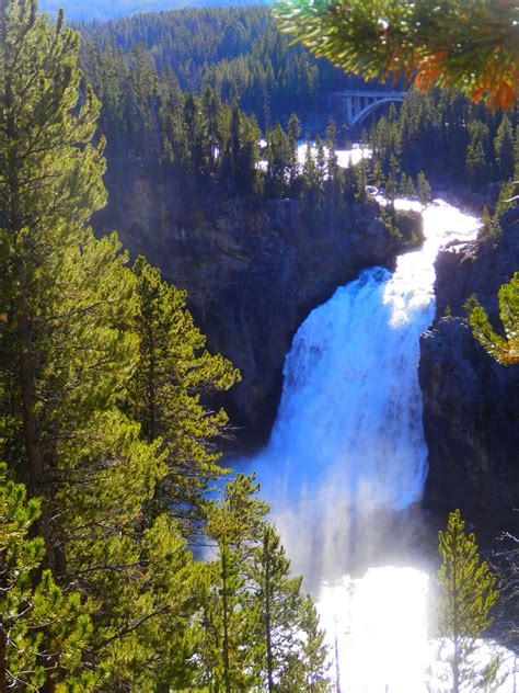 Upper Falls, Yellowstone. By: Jan Arnold | Nature photography, Yellowstone national park ...