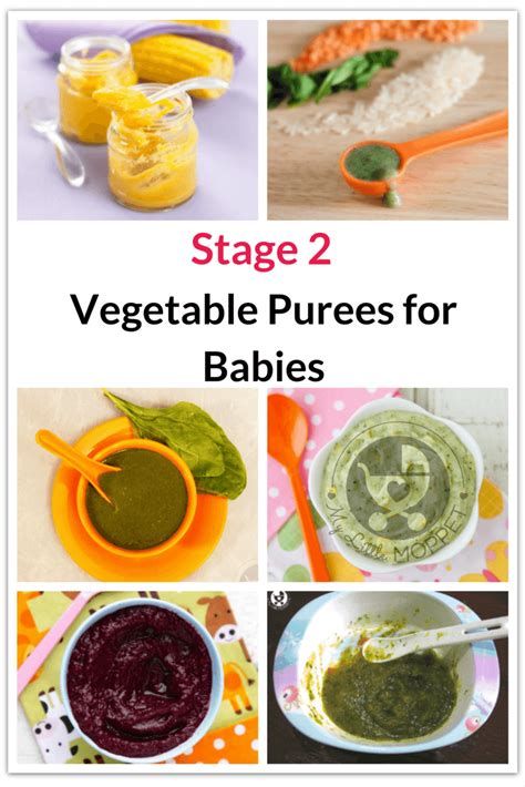 Purees are among the first foods given to babies. Use this chance to introduce your baby to a ...