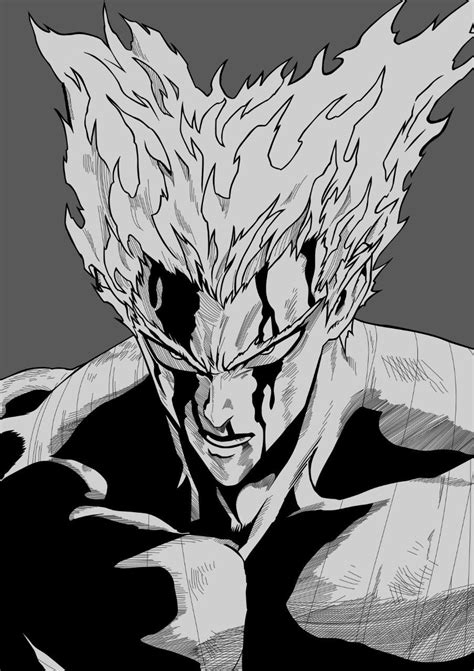 693 best Garou images on Pholder | One Punch Man, Manga and Animemes