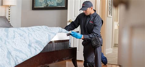 Bed Bug Exterminator Milford, CT - Local Bed Bug Exterminators