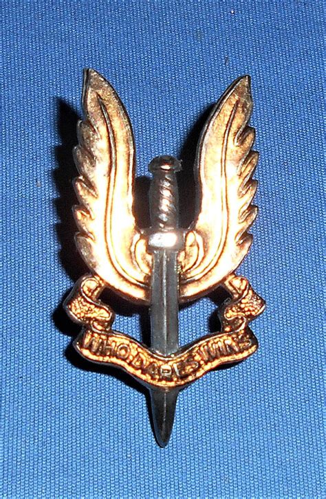 Metal SAS beret badge