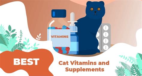 5 Best Cat Vitamins And Supplements - LOL Cats