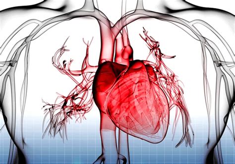 Non-ischemic myocardial fibrosis in long COVID patients